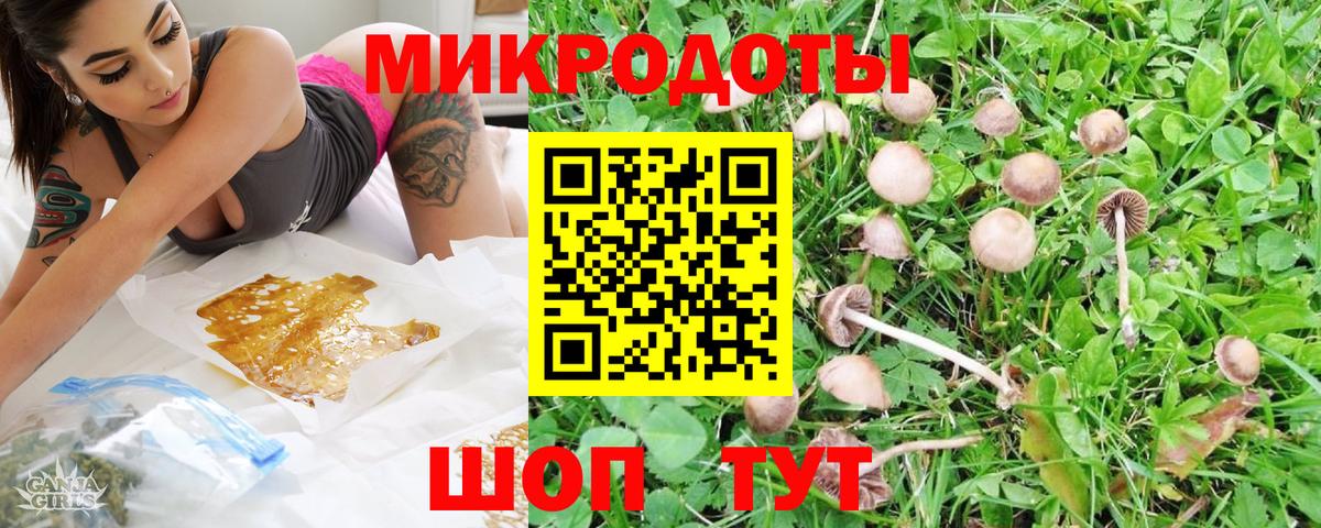 Галлюциногенные грибы Psilocybe  Вход с VPN  Острогожск 